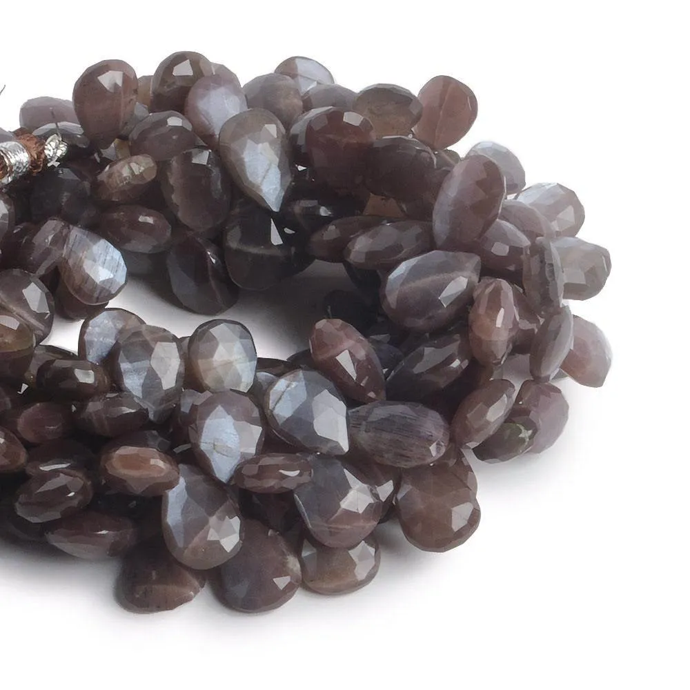 11x9-14x9mm Chocolate Brown Moonstone faceted pears 8 inch 40 beads