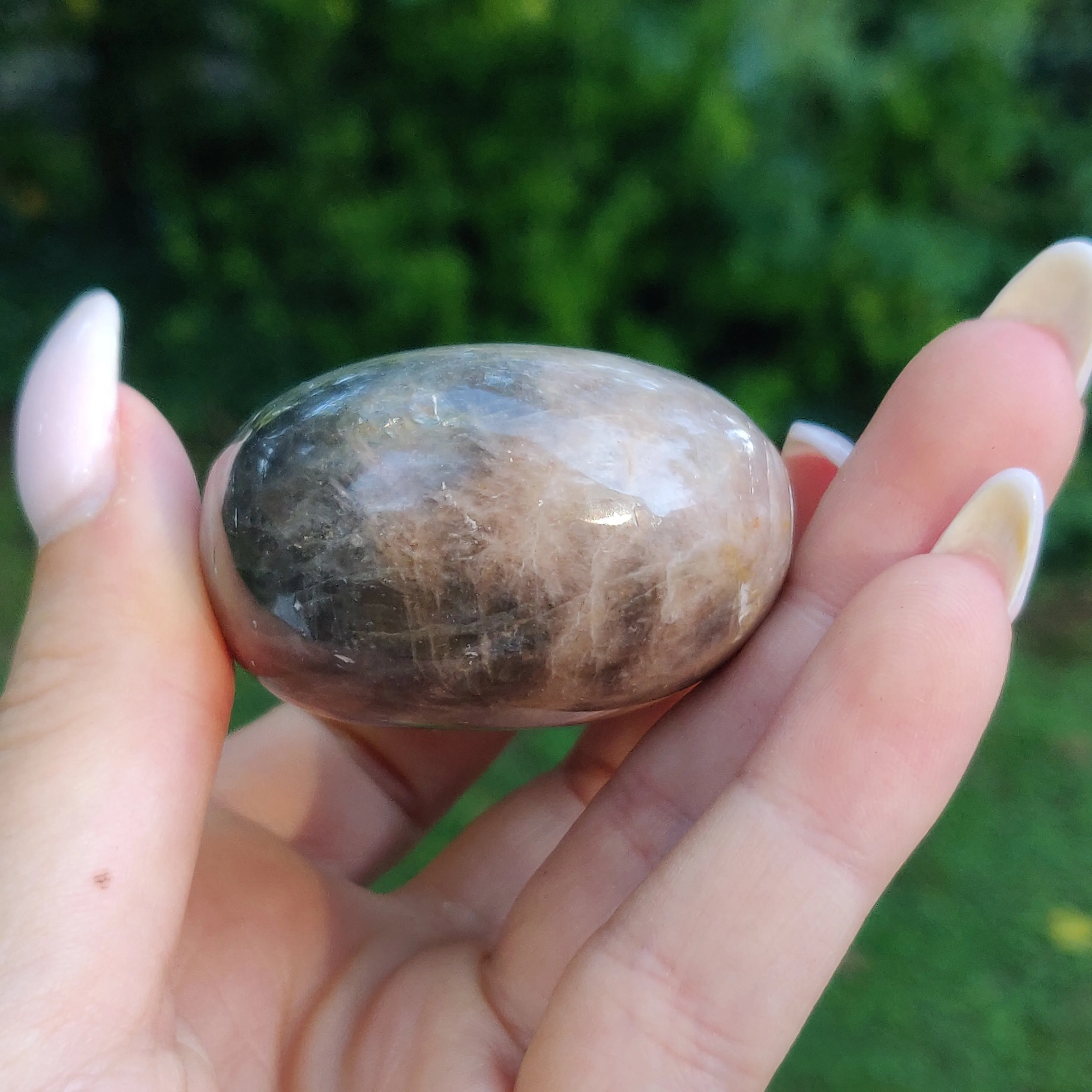 Black Moonstone Palm Stone, Flashy Black Moonstone (#21)