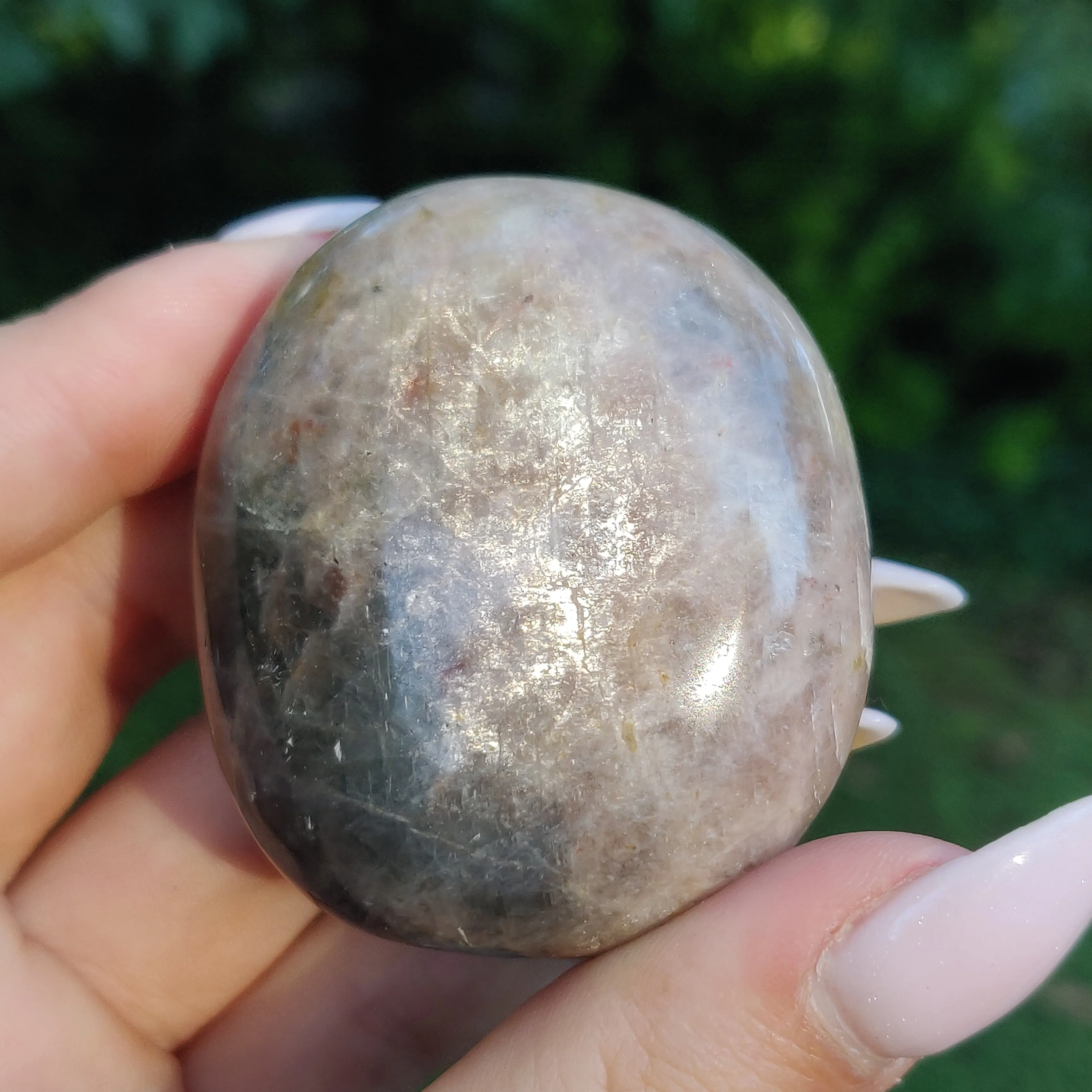 Black Moonstone Palm Stone, Flashy Black Moonstone (#21)