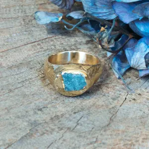 Guardian Signet Ring