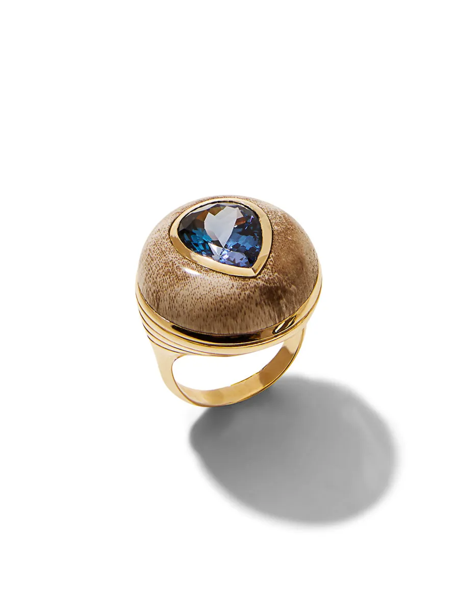 Tanzanite in Petrified Wood Lollipop Yellow Gold Ring